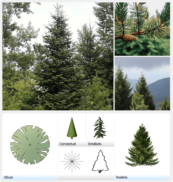 Área de representación gráfica de Especies de plantas