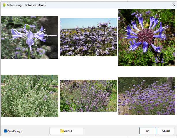 Select Image dialog.